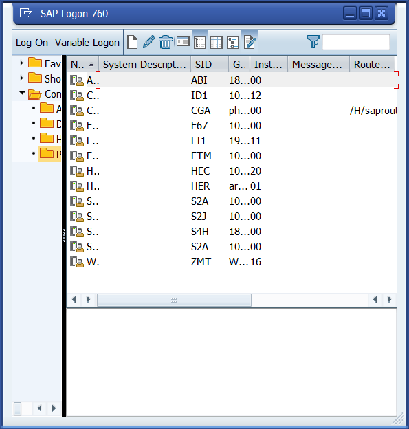 sap gui logon